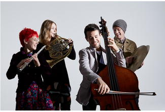 Eliza Shephard (Flute), Robyn Cole (French Horn), Hamish Gullick (Double Bass), Hugh Tidy (Percussion).  Photo Credit: Kris Washusen   