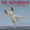 nutcracker-260x240