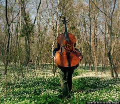 Are You An Orchestra Nerd?