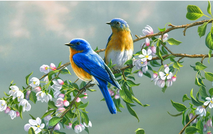 Sirius Ensemble: Birdsong In Music