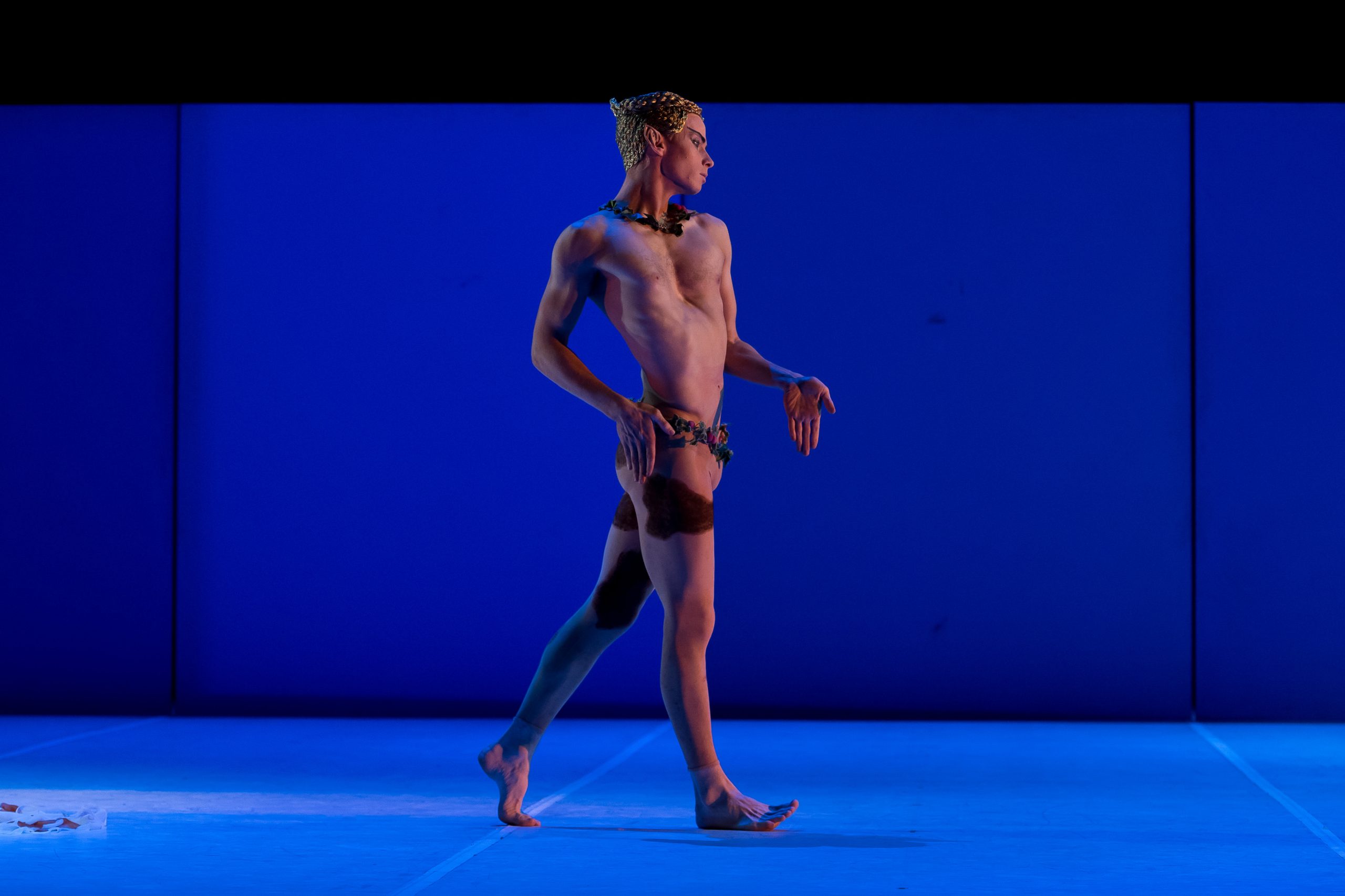 Nijinsky – Image Gallery