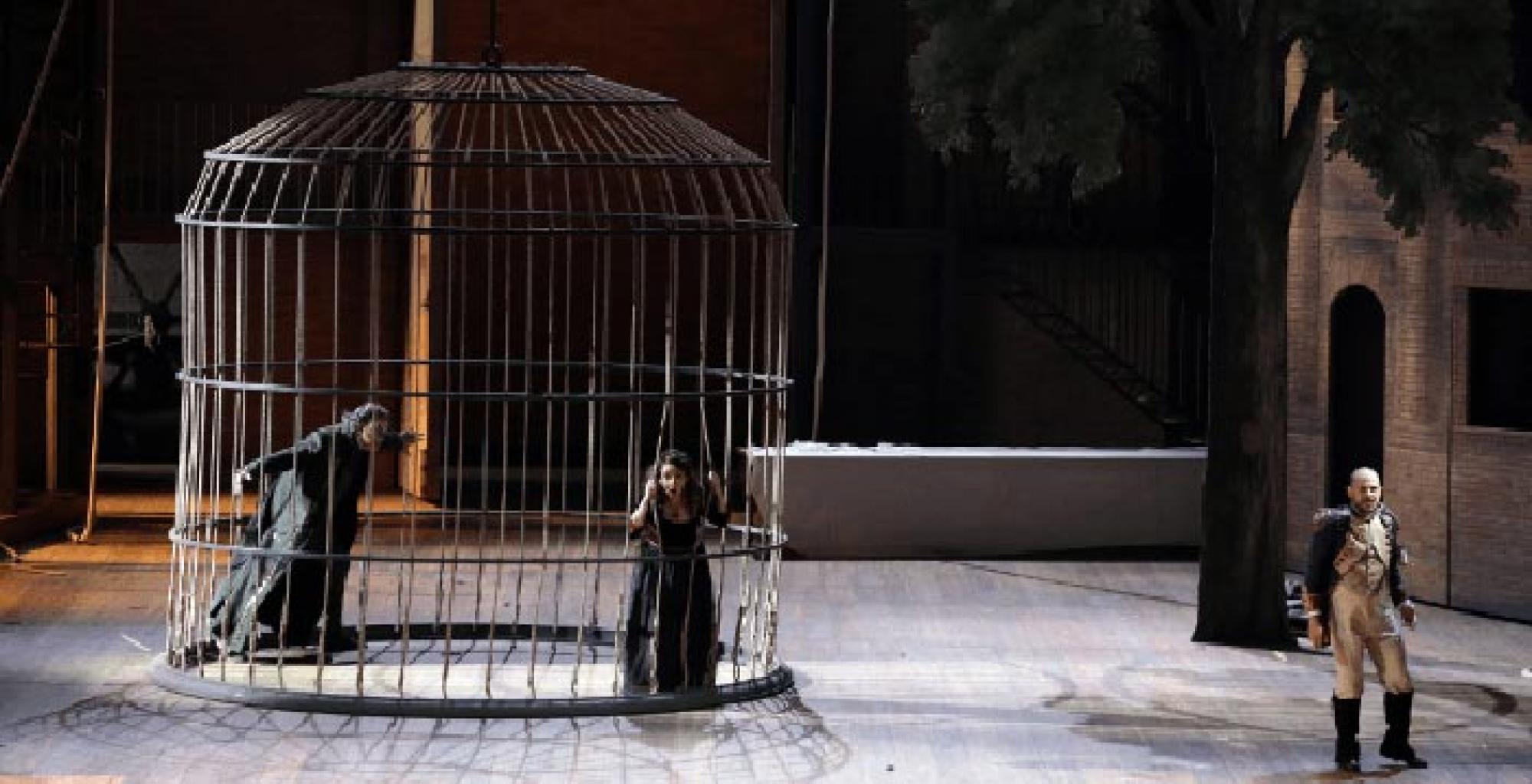 The Thieving Magpie From La Scala In Palace Cinemas