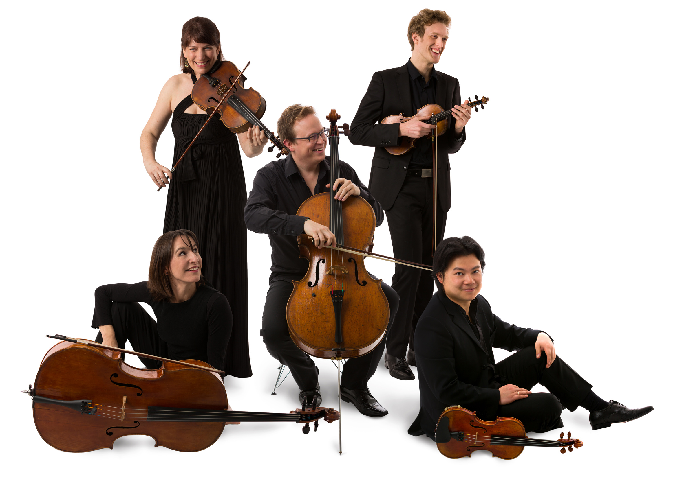 Flinders Quartet And Timo-Veikko Valve: Schubert Gala