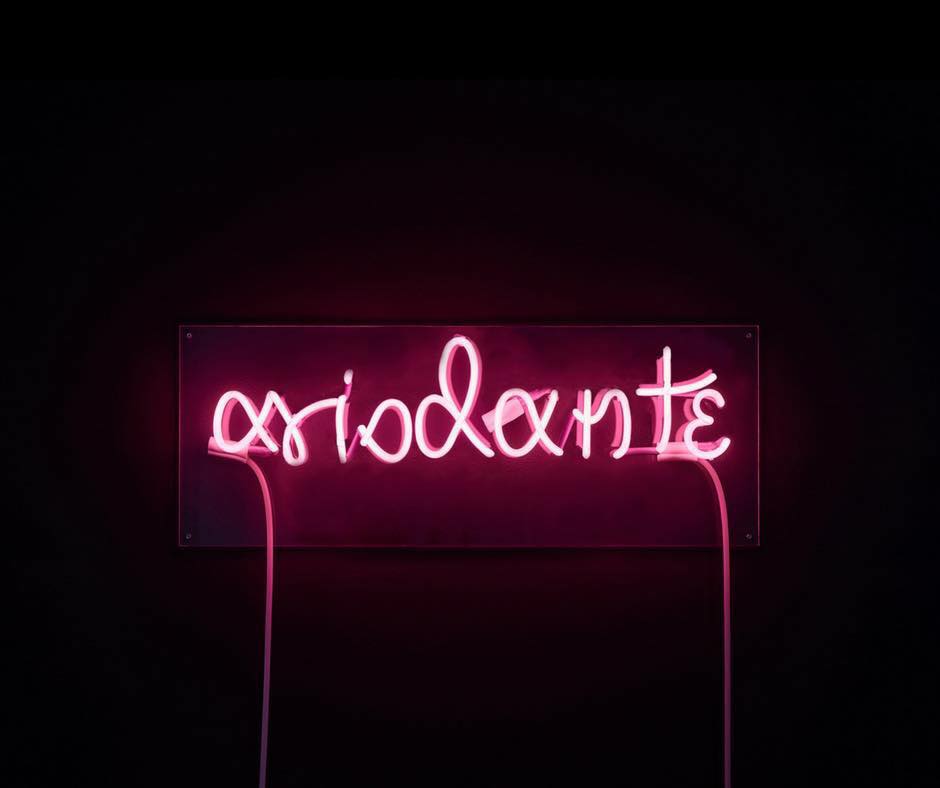 Apollo Opera Collective Presents Handel’s Ariodante