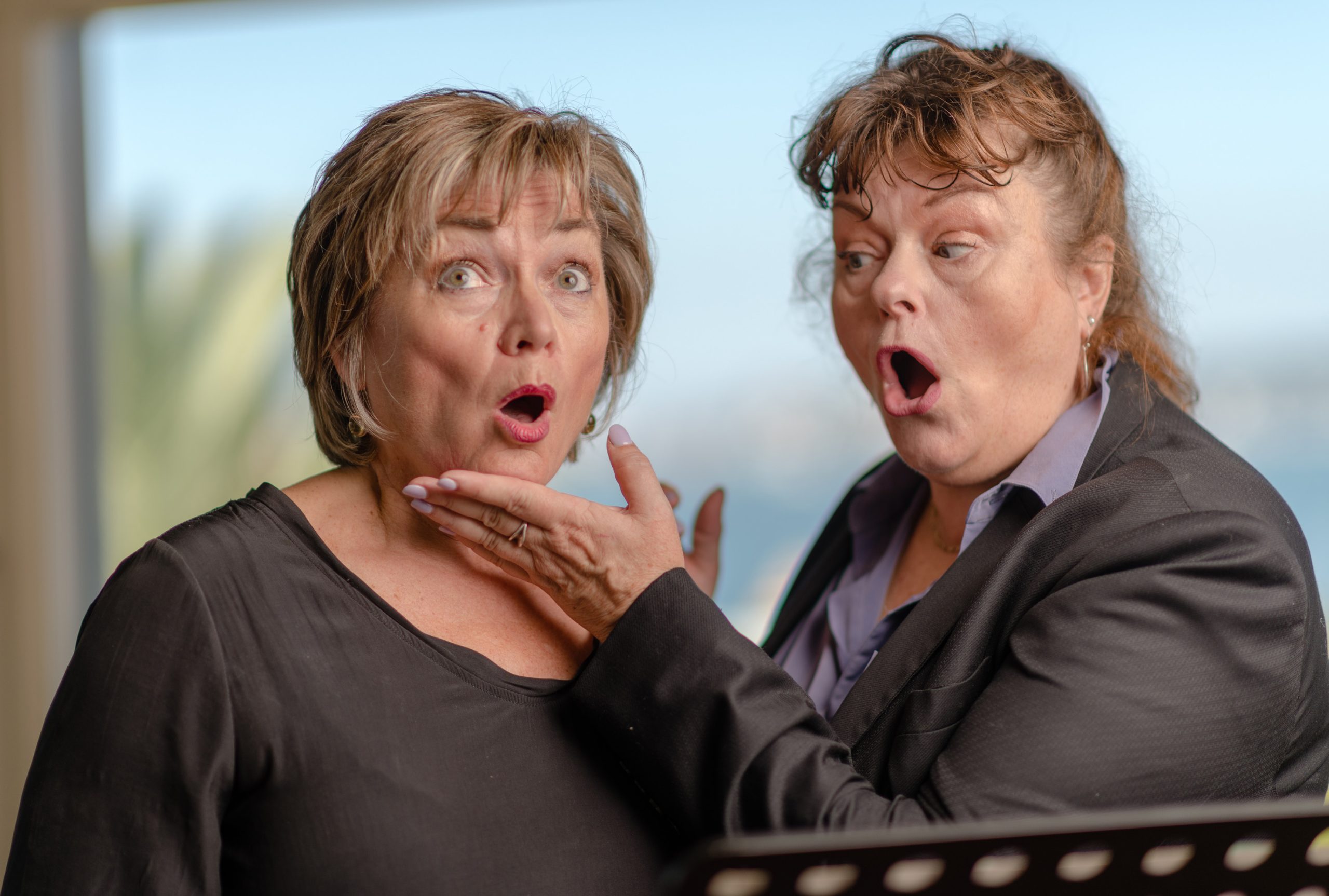 The Secret Singer – A Joyful New Australian Musical Premieres In August
