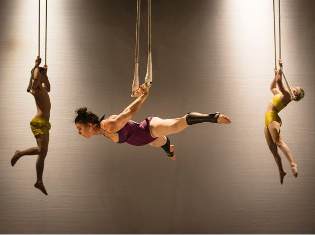 Join The Circus! National Institute Of Circus Arts Auditions
