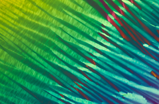 Halcyon Presents Autobiochemistry