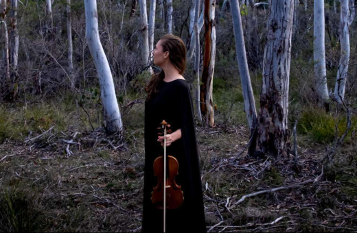 Lyrebird Festival Returns In November